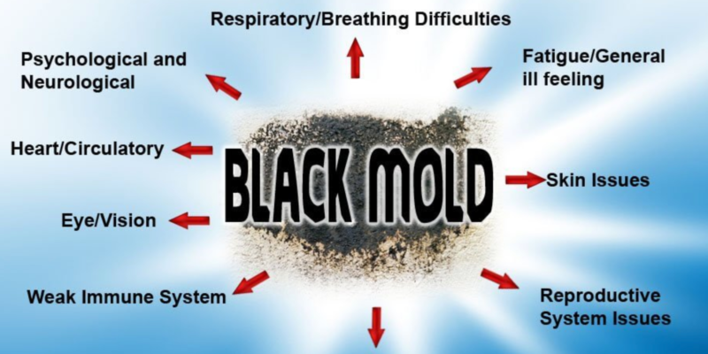 An Estimated 22% of the U.S. Population have the Genetic Predisposition to be Affected by Mold